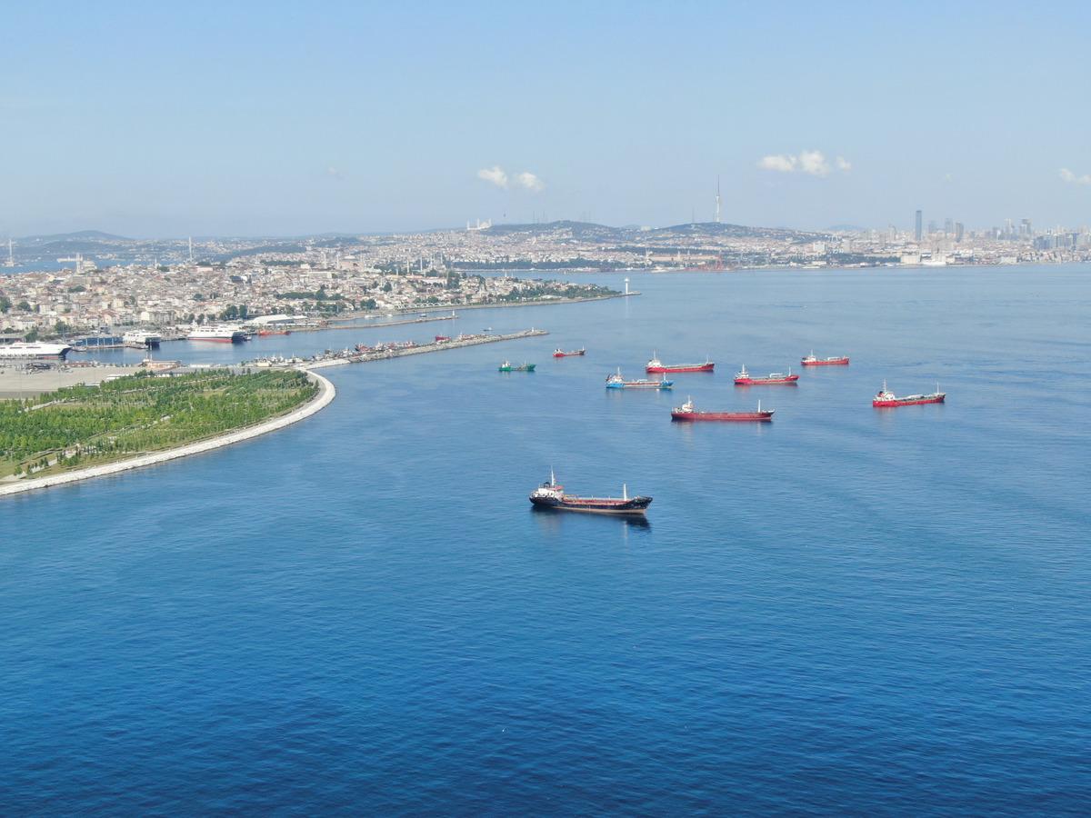 İstanbul a&ccedil;ıklarındaki sahipsiz 7 gemi satışa &ccedil;ıkarıldı! İşte fiyatları