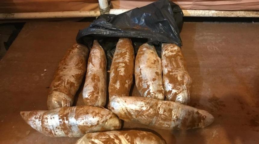 Esrarı yolcu otob&uuml;s&uuml;yle başka ile g&ouml;t&uuml;r&uuml;rken yakalandılar