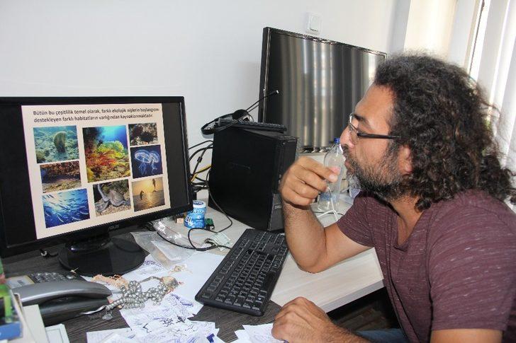 İnsanlık tarihinde ilk ve tek: Akdeniz tropikleşiyor! G3