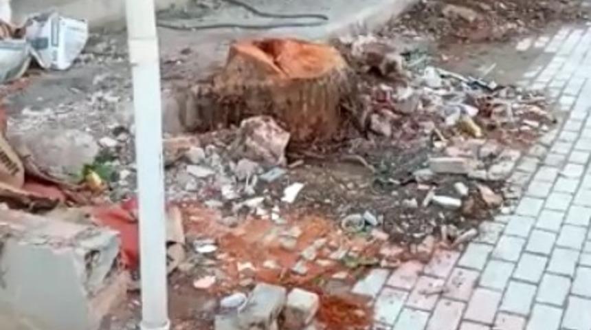 Yalova&rsquo;da ağa&ccedil; katliamı