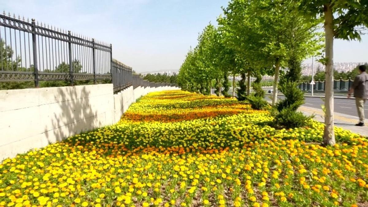 Başkent&rsquo;in caddeleri rengarenk