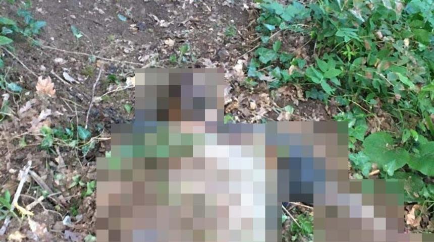 Mesire alanında ceset bulundu