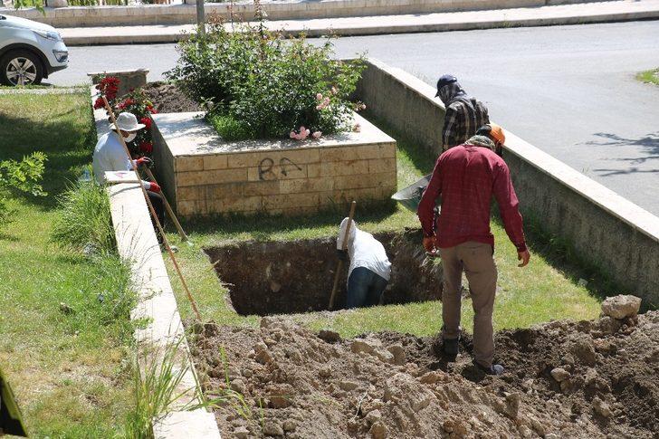 Avrupa'da 1200 kilisede ismi var! Sivas'ta mezarı aranıyor G2