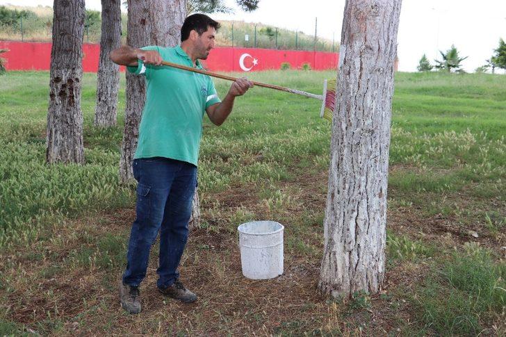 Toroslar’da yeşil alanlara yaz bakımı G3