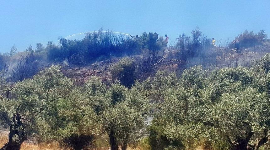 Söke’de 5 dönüm makilik alan yangında zarar gördü