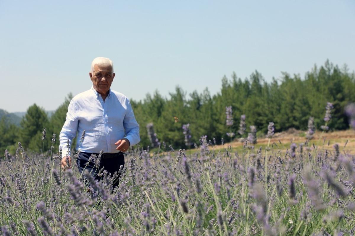 B&uuml;y&uuml;kşehir&rsquo;den &uuml;reticiye 32 bin 500 adet Aromatik bitki fidanı