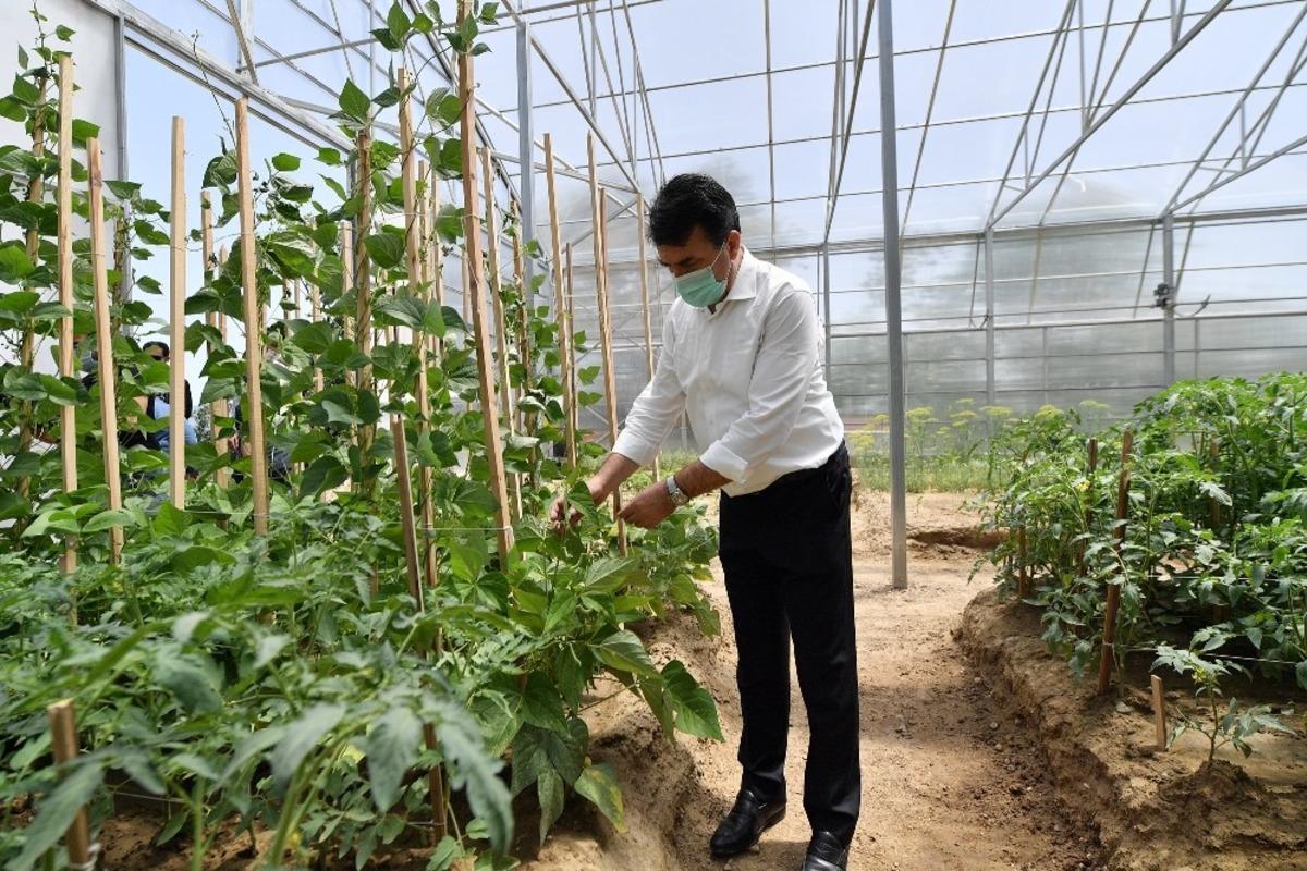 Osmangazi&rsquo;den milli tarım hamlesi