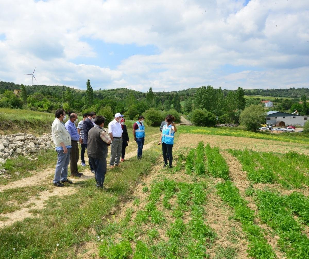 Uşak&rsquo;ta &lsquo;Doğal Yaşam K&ouml;y&uuml; ve Lavanta Bah&ccedil;eleri&rsquo; projeleri hayata ge&ccedil;iyor