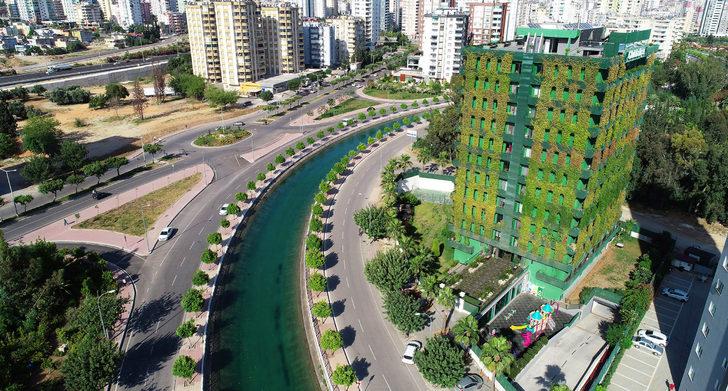 Adana'da ilginç apartman... Tamamı sarmaşıklarla kaplı G1
