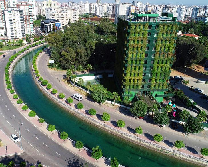 Adana'da ilginç apartman... Tamamı sarmaşıklarla kaplı G2