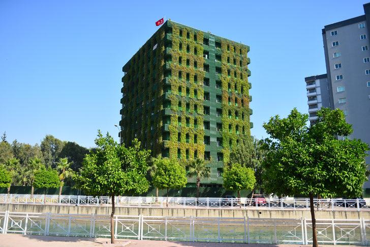 Adana'da ilginç apartman... Tamamı sarmaşıklarla kaplı G3