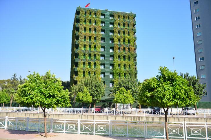 Adana'da ilginç apartman... Tamamı sarmaşıklarla kaplı G4