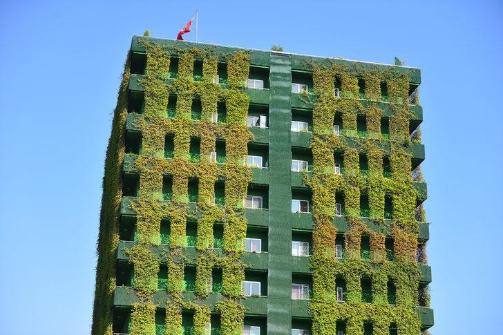 Adana'da ilginç apartman... Tamamı sarmaşıklarla kaplı G5