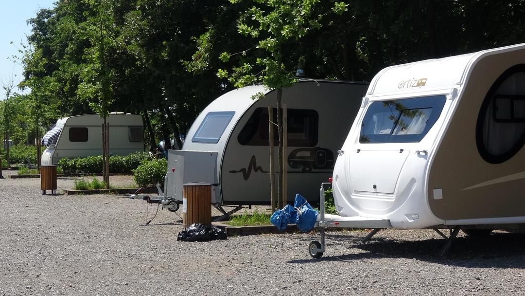 Tatilcilerin g&ouml;zdesi oldu! İstanbul'un yanı başındaki doğal yaşam alanı: Ormanya