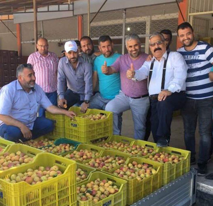 Mut’ta kayısı üreticisi sezonu mutlu kapattı G1