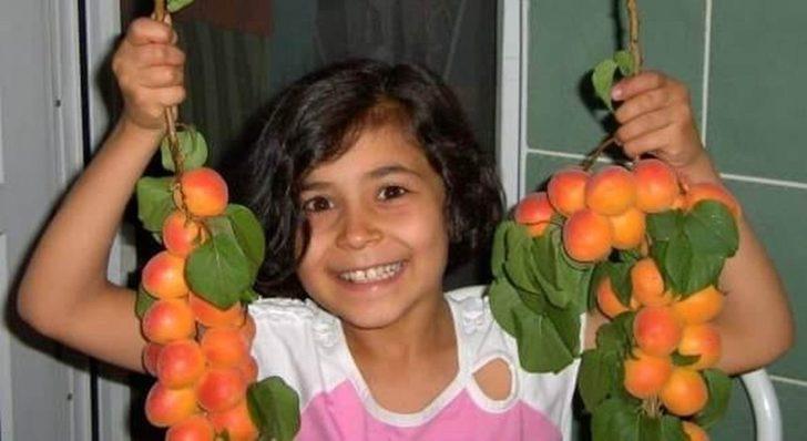 Mut’ta kayısı üreticisi sezonu mutlu kapattı G2