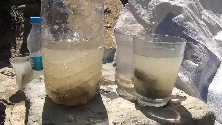 Böbrek taşına iyi geldiği öne sürüldü! Kana kana içiyorlar ama...  G5