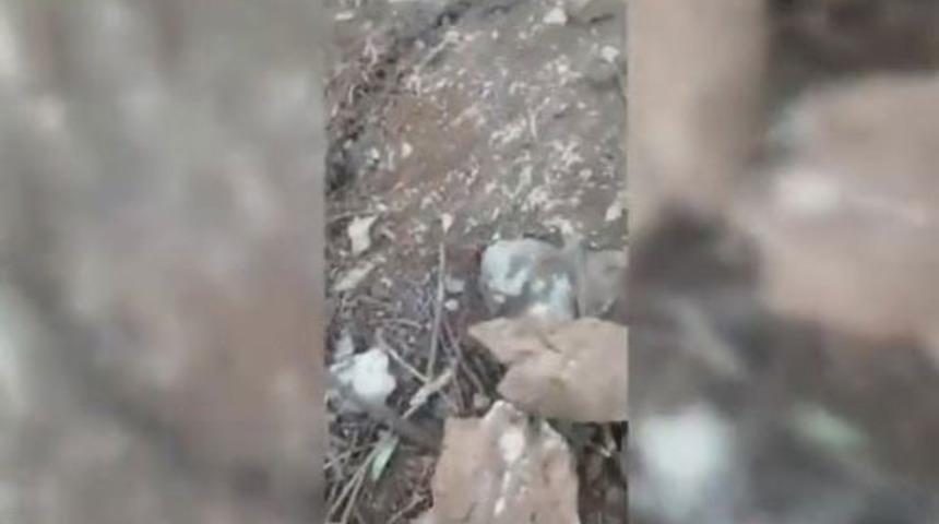 MSB: Haftanin'de EYP'ler etkisiz hale getiriliyor