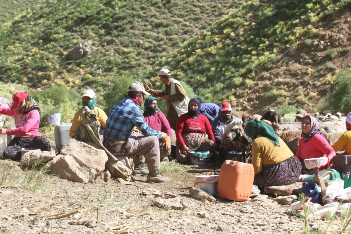 Şemdinli&rsquo;de berivanların zorlu mesaisi