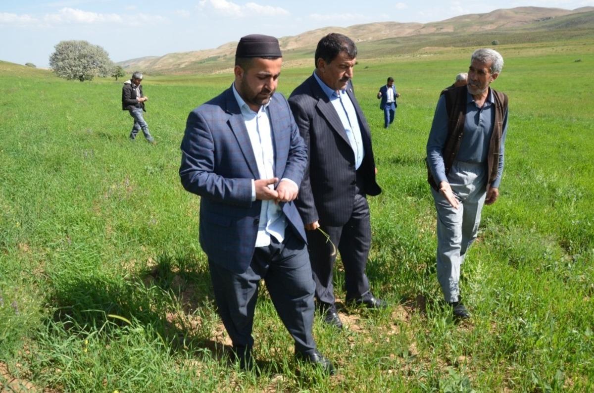 &Ccedil;ift&ccedil;ilerin hibe destekli tohumdan beklentisi y&uuml;ksek