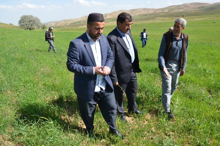 Çiftçilerin hibe destekli tohumdan beklentisi yüksek G1