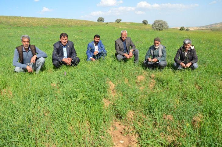 Çiftçilerin hibe destekli tohumdan beklentisi yüksek G2