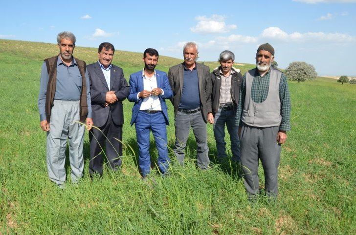 Çiftçilerin hibe destekli tohumdan beklentisi yüksek G3