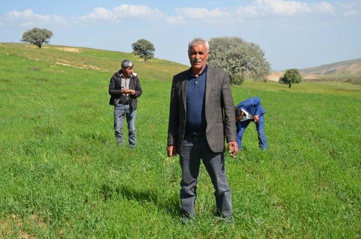 Çiftçilerin hibe destekli tohumdan beklentisi yüksek G4