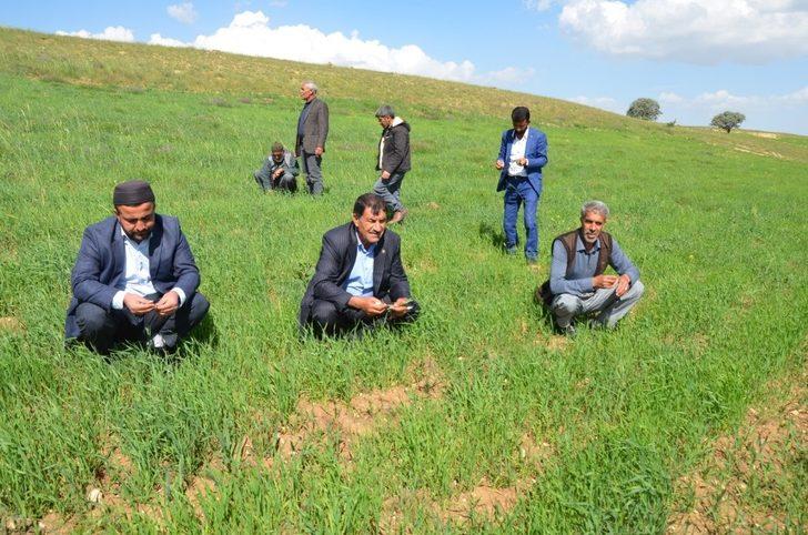 Çiftçilerin hibe destekli tohumdan beklentisi yüksek G5