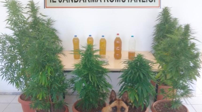 Seydikemer&rsquo;de uyuşturucu operasyonu