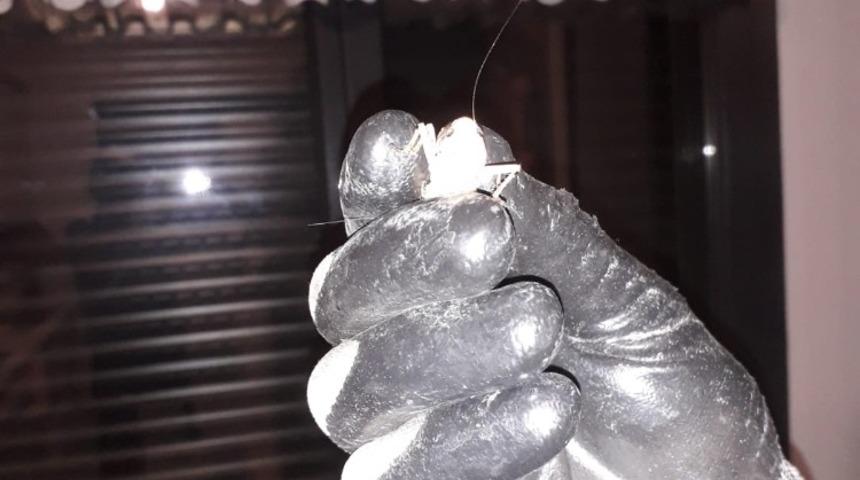 Edremit&rsquo;te &ccedil;ekirge paniği