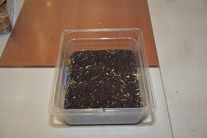 Yeni mahsul kanola Borsa’da G3