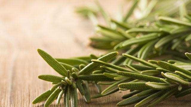 Bu şifalı bitkiler bronşları temizliyor! Biberiye özü, okaliptüs...