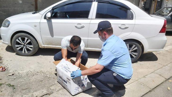 Zabıta ekiplerinin martı seferberliği G3