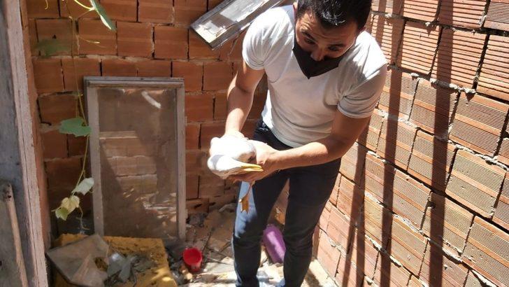 Zabıta ekiplerinin martı seferberliği G4