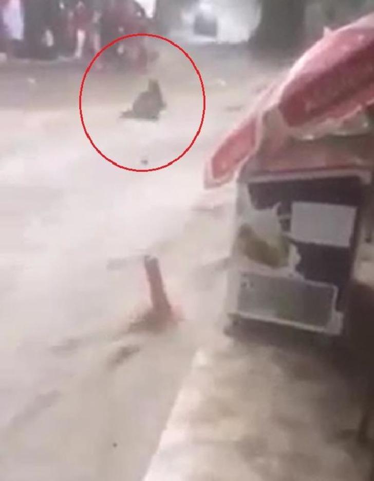 Bursa'da korku dolu anlar! Kadın sel sularında sürüklendi G3