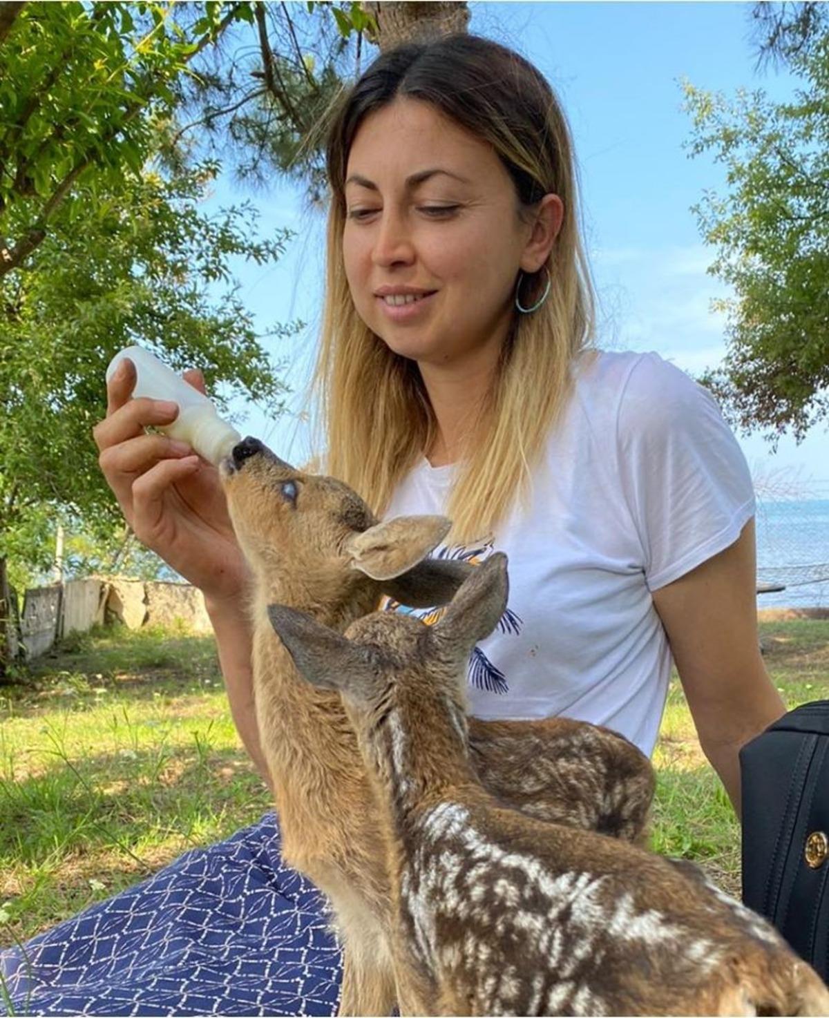 Yaralı karacalar ile evladı gibi ilgilenerek sağlıklarına kavuşturdu