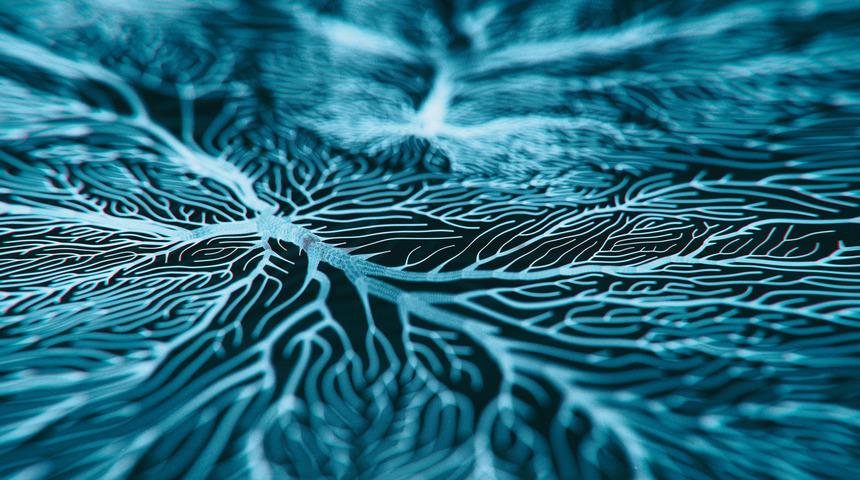 ALS tedavisinde psikolojik destek aksatılmamalı