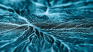 ALS tedavisinde psikolojik destek aksatılmamalı