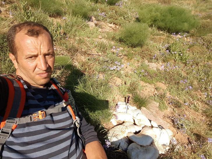 Dağda görüntülediği ayı ve yavrularına selam verdi G2