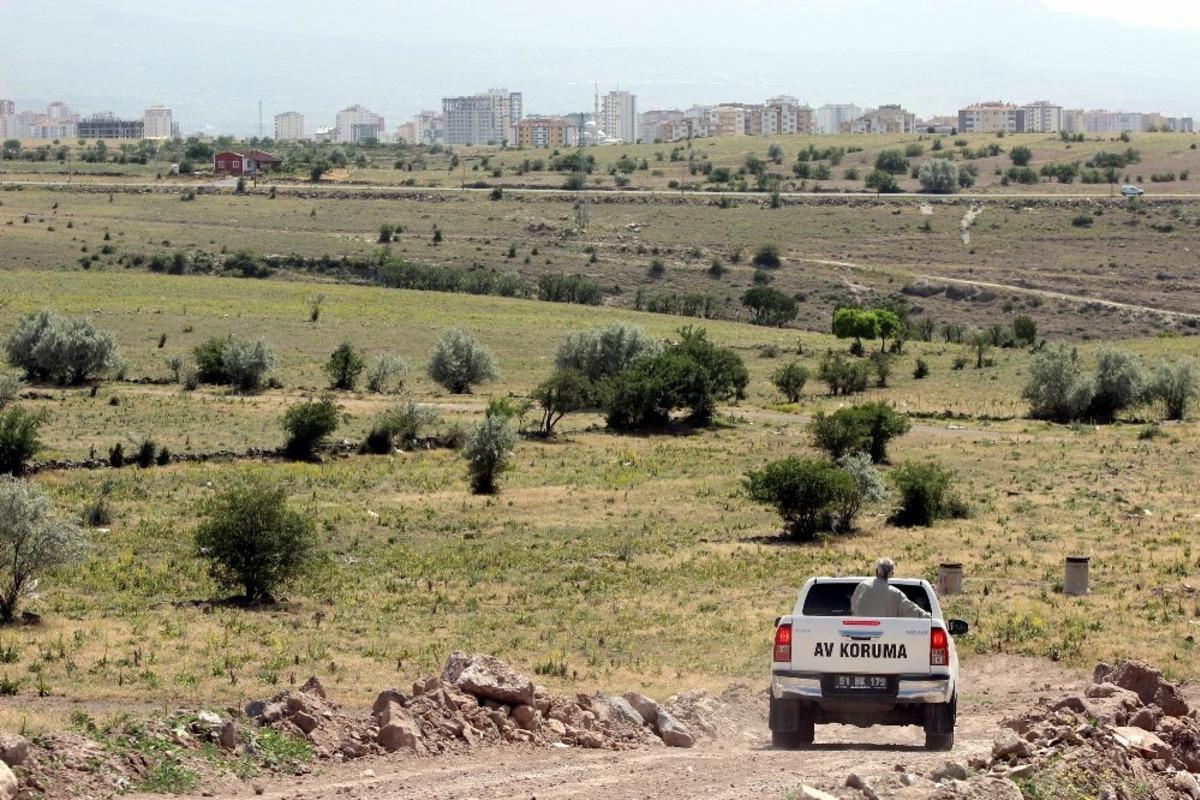 Mahallelinin kurt g&ouml;rd&uuml;ğ&uuml; ihbarı ekipleri harekete ge&ccedil;irdi