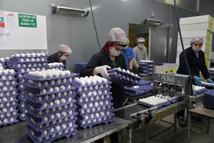 Kayseri'de üretilen her 3 yumurtadan biri ihraç ediliyor G2