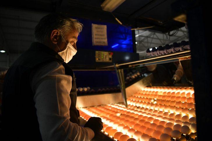 Kayseri'de üretilen her 3 yumurtadan biri ihraç ediliyor G3