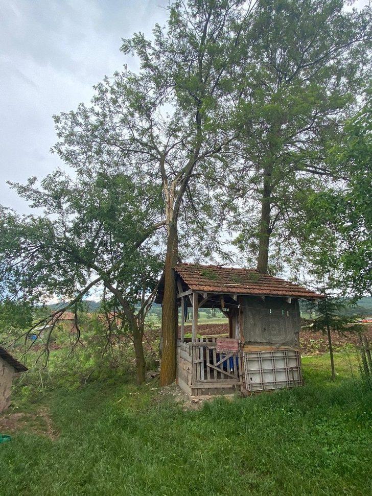 Çardakta otururken yıldırım isabet eden genç kız öldü G2