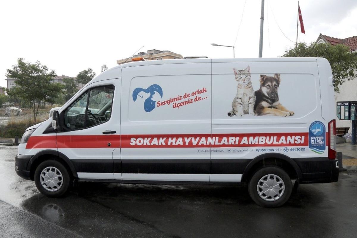 Ey&uuml;psultan&rsquo;da dikkat &ccedil;eken &ccedil;alışma