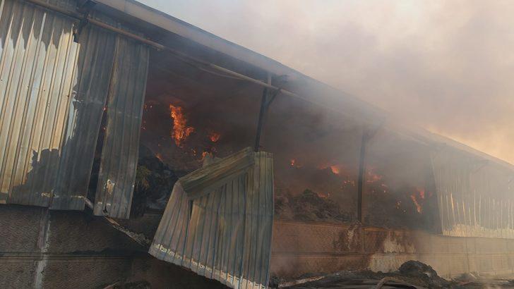 Aksaray’da yem fabrikası ve yonca deposunda yangın! Söndürülemiyor G2