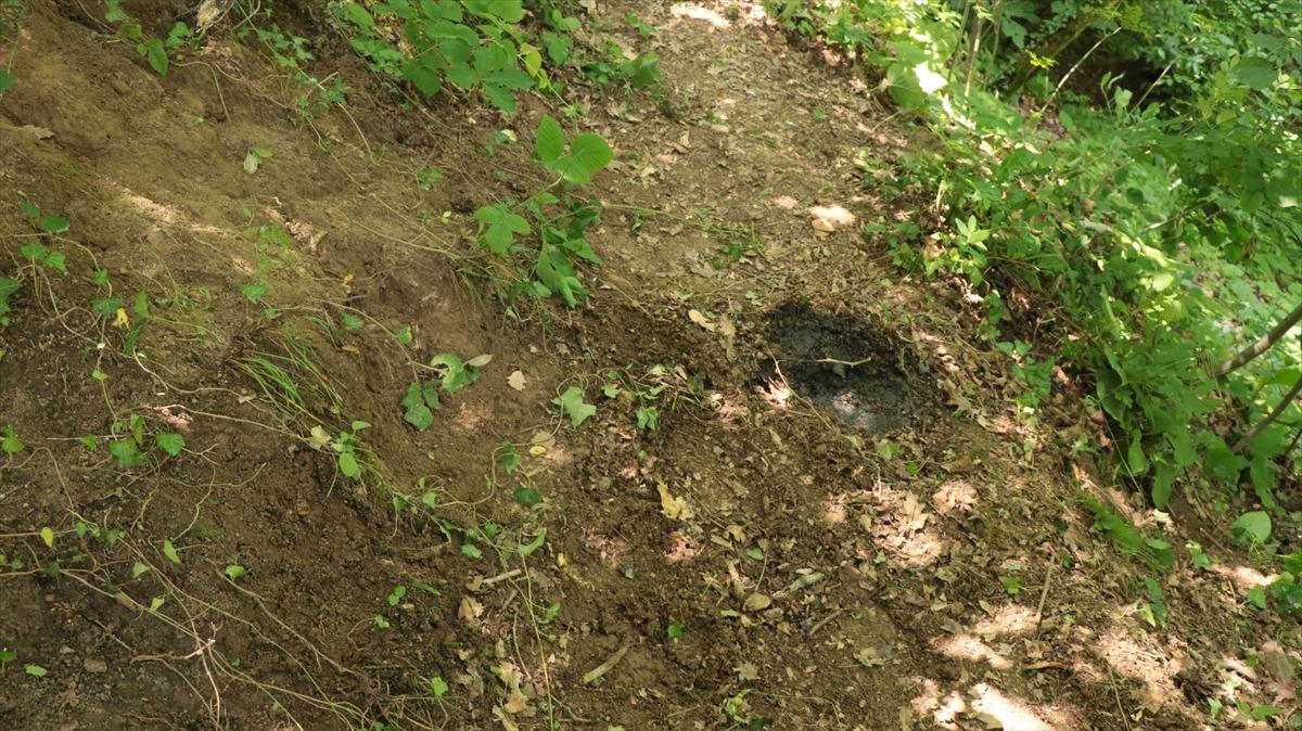 Yalova'da ormanda cesedi bulunan kişinin ev arkadaşı tutuklandı