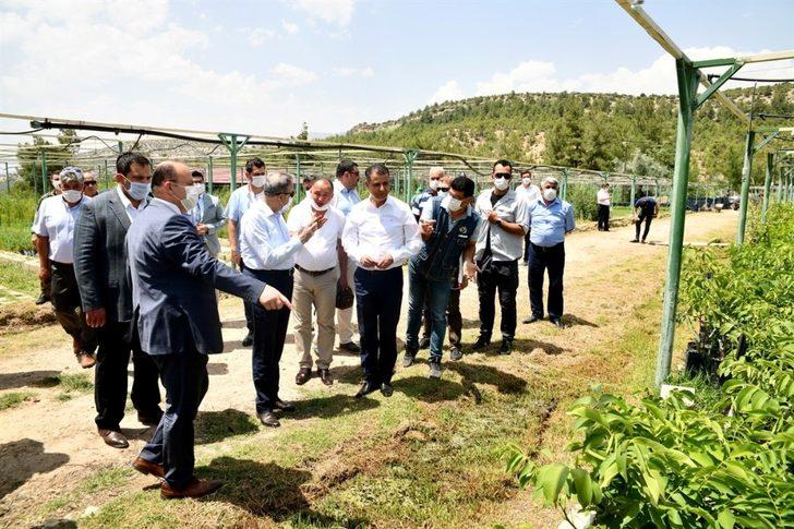 Vali Su, Mut ilçesinde incelemelerde bulundu G3