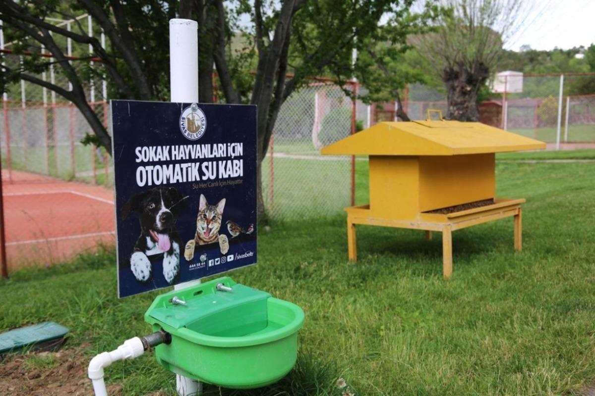 Hayvanlar susuz kalmıyor, su israf edilmiyor