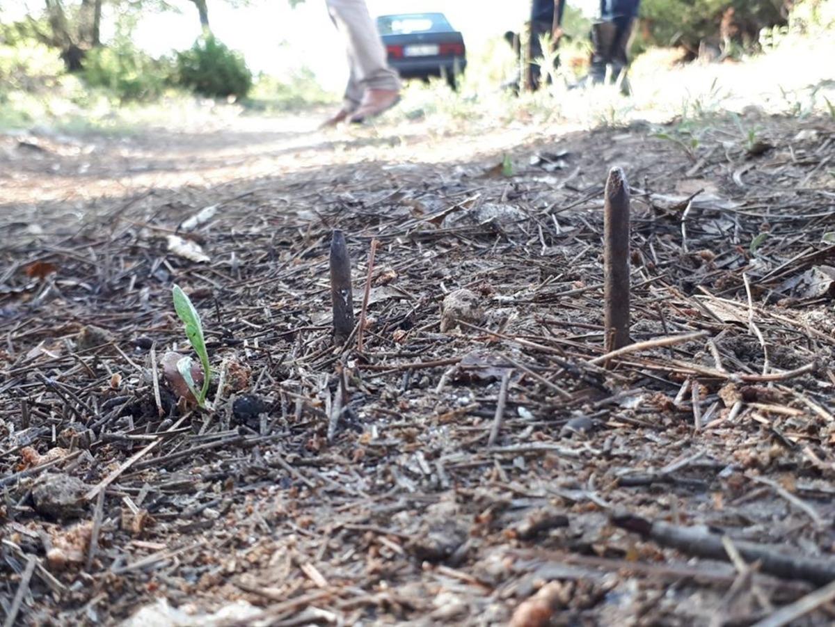 Yola &ccedil;ivi &ccedil;aktılar